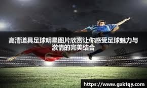 荷兰杯赛制详解：均单场淘汰 冠军获欧罗巴资格